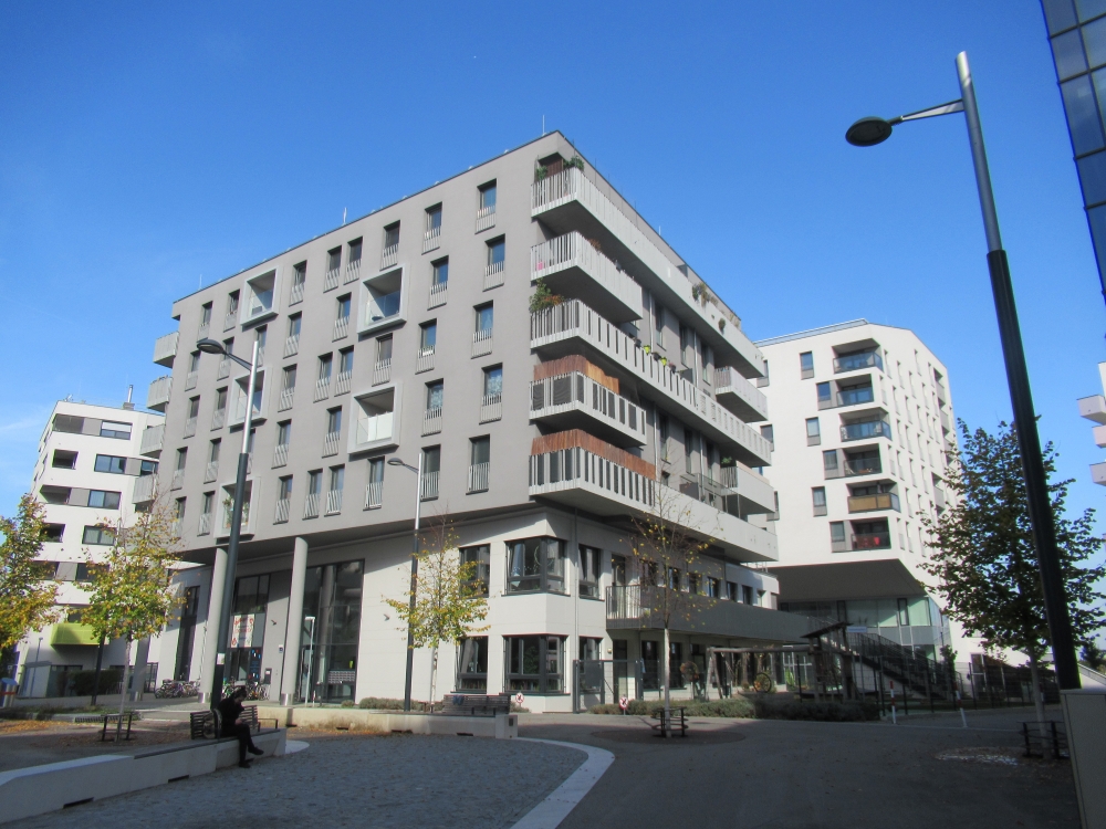 becsi berlakas Forras Párdi Zsófi igylakunk 4 kicsi